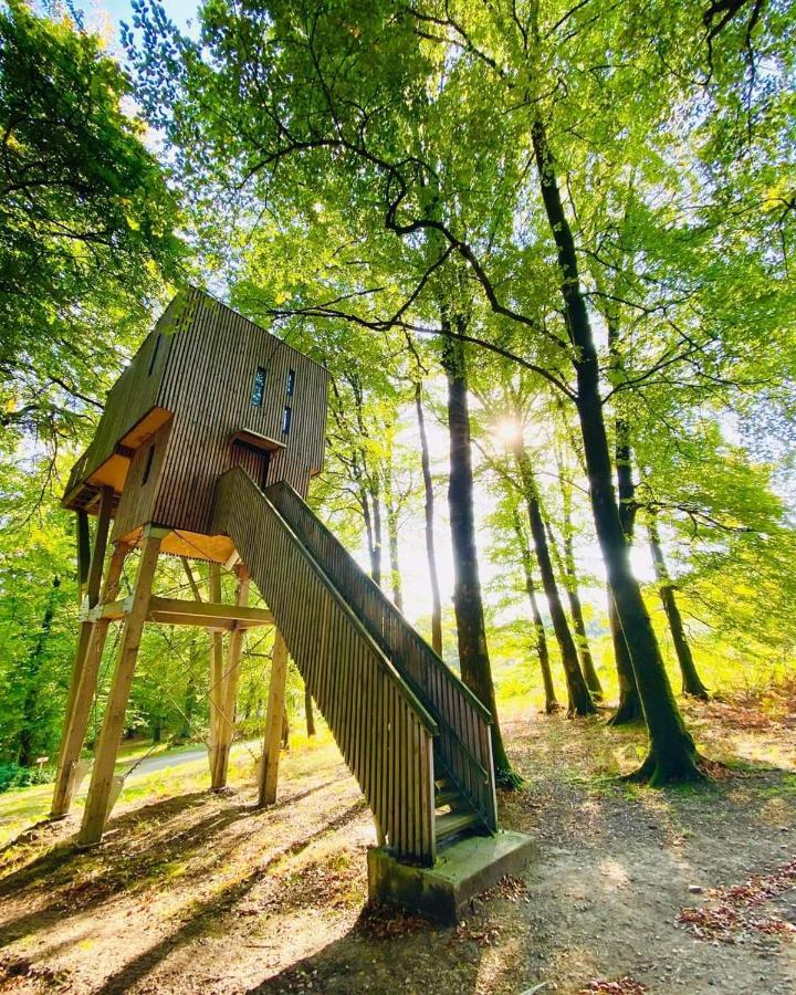 Saint-Sever-Calvados L'Etape En Foret מראה חיצוני תמונה
