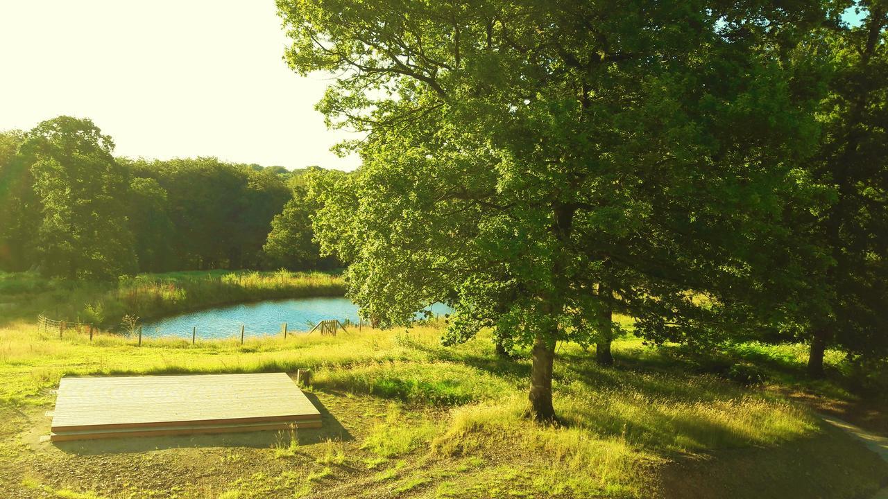 Saint-Sever-Calvados L'Etape En Foret מראה חיצוני תמונה