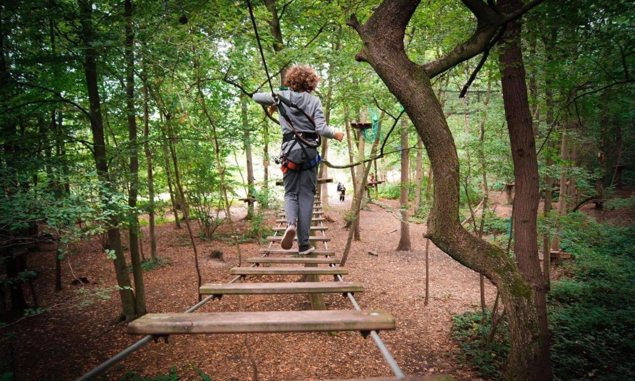 Saint-Sever-Calvados L'Etape En Foret מראה חיצוני תמונה